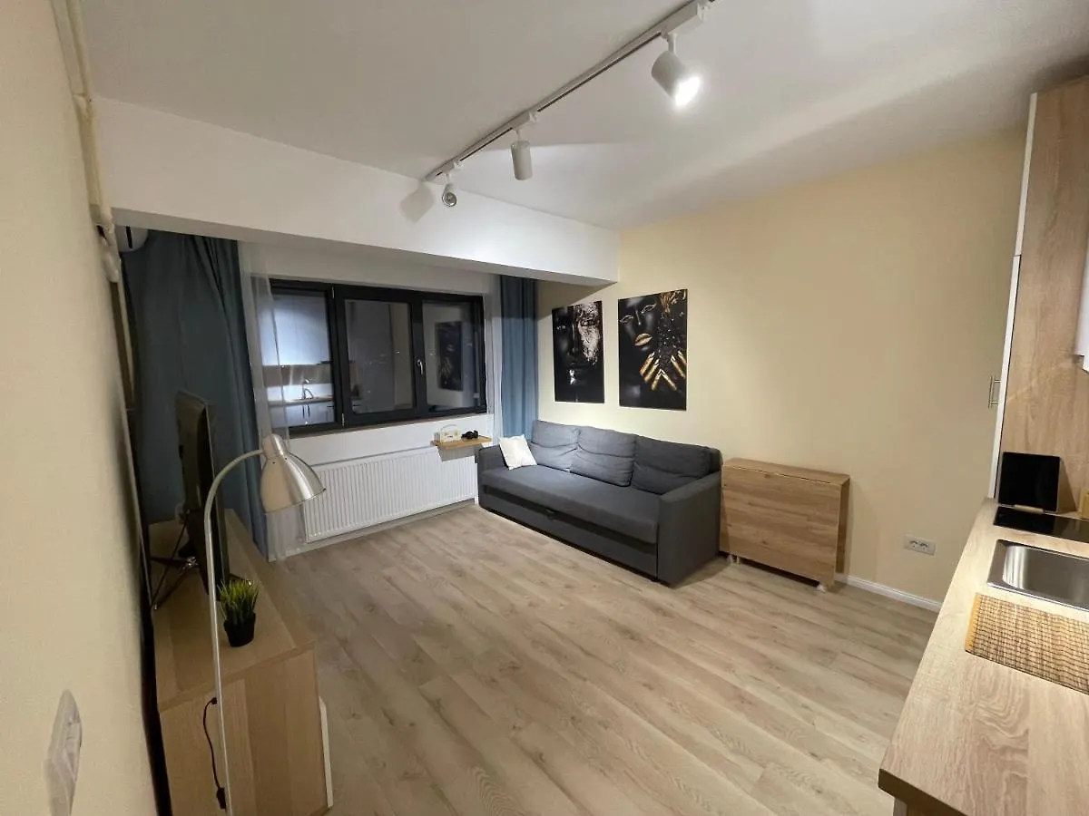 Ruby Luxury Apartment Close To Presidential Palace Бухарест Румыния
